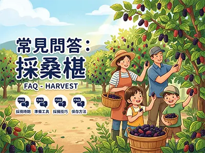 採桑椹常見問答